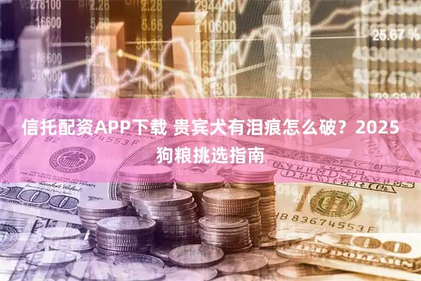 信托配资APP下载 贵宾犬有泪痕怎么破？2025狗粮挑选指南